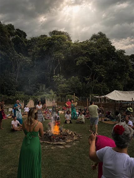 Árvore ancestral gigante com raízes profundas — Iroko